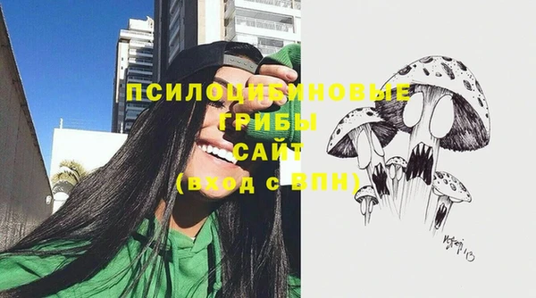 гидропоника Алексеевка