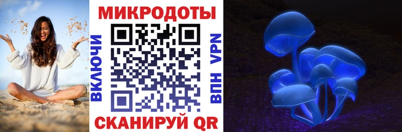 сколько стоит Сурск ссылка на мегу как зайти Псилоцибиновые грибы мухоморы